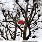 Paris Winter Impressions — Vermilion, Edition of 20