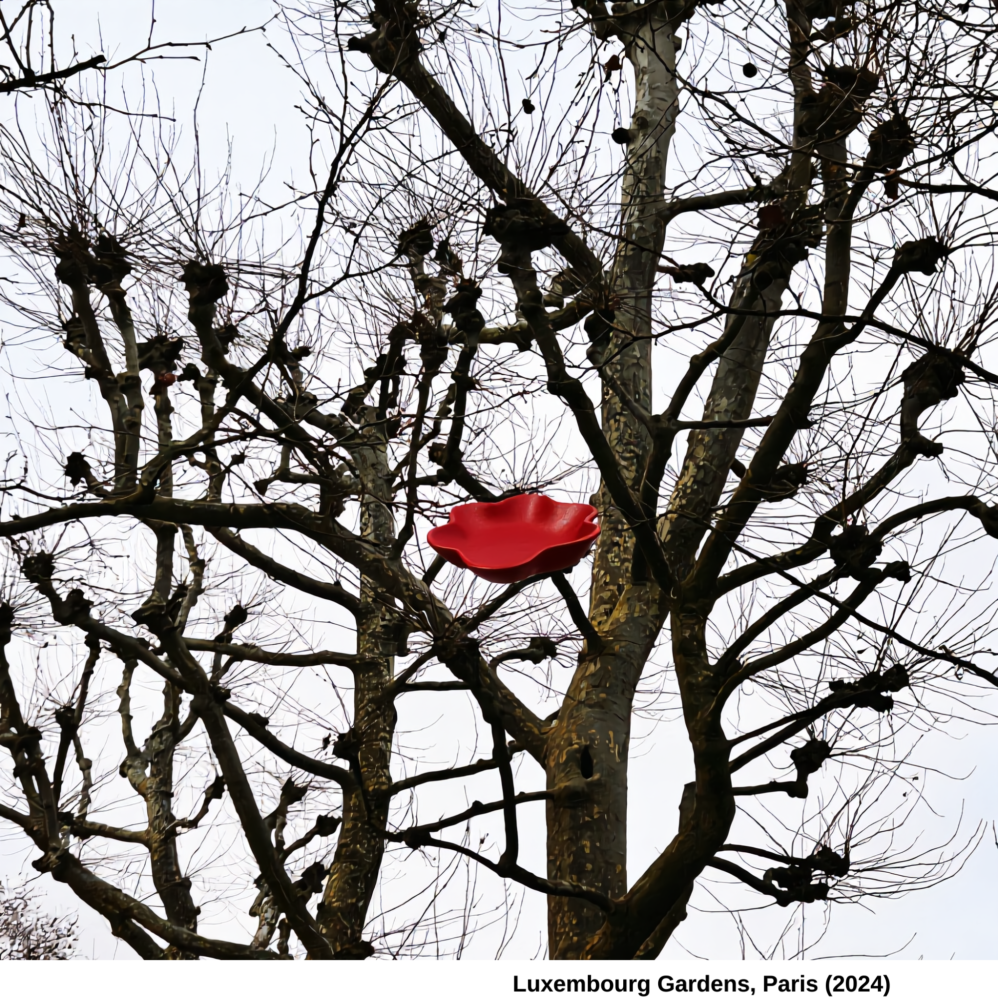 Paris Winter Impressions — Vermilion, Edition of 20